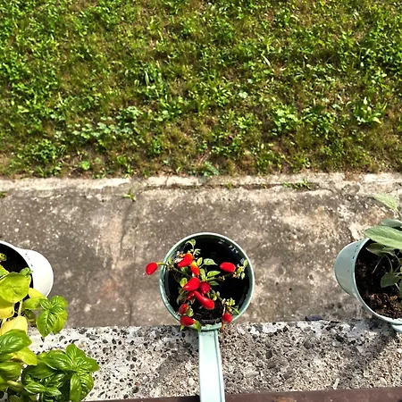 White Flat Puglie 아파트 *