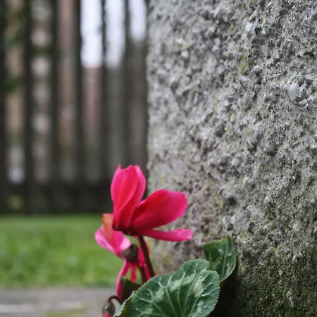 아파트 White Flat Puglie *